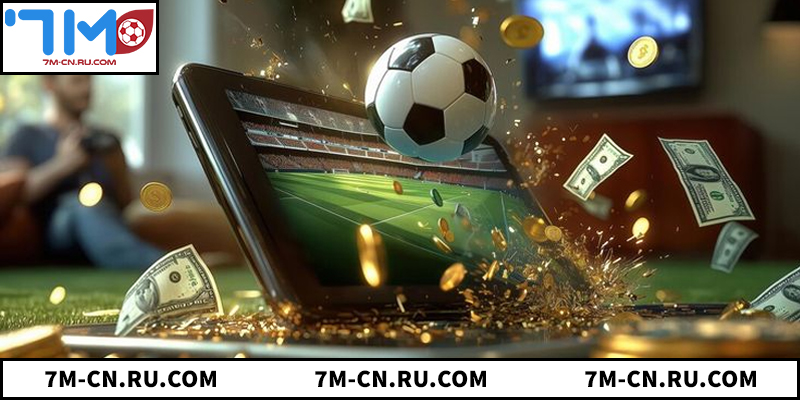 Tổng quan về mục giới thiệu 7M